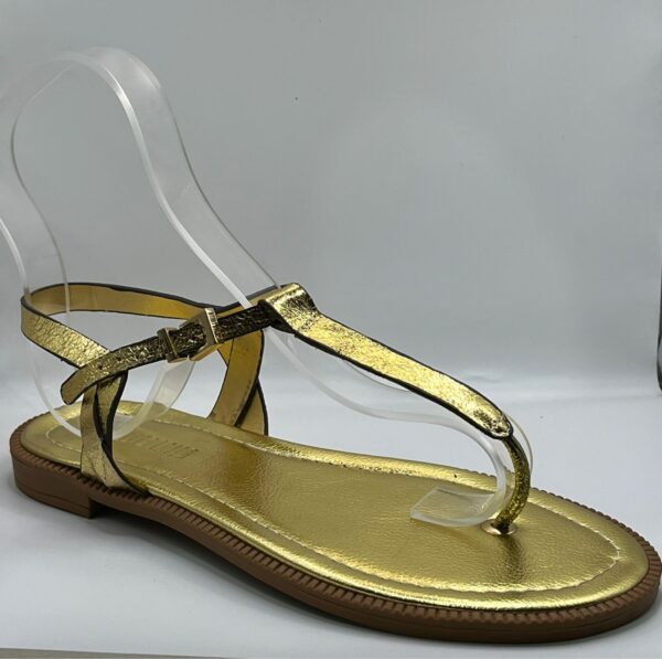 Rasterinha Dourado Feminina